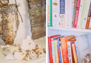 Seashells and books on shelves