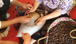Two women cracking argan nuts in Morocco