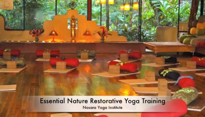The yoga studio at Nosara Yoga Institute